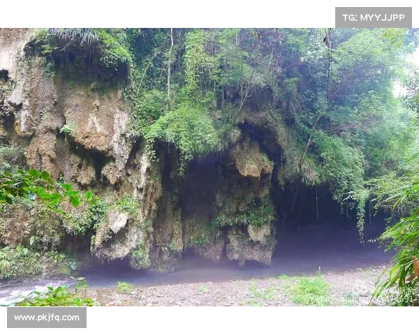 恩平赛场新疆球员中暑 香港队医刮痧疗法引围观效果显著