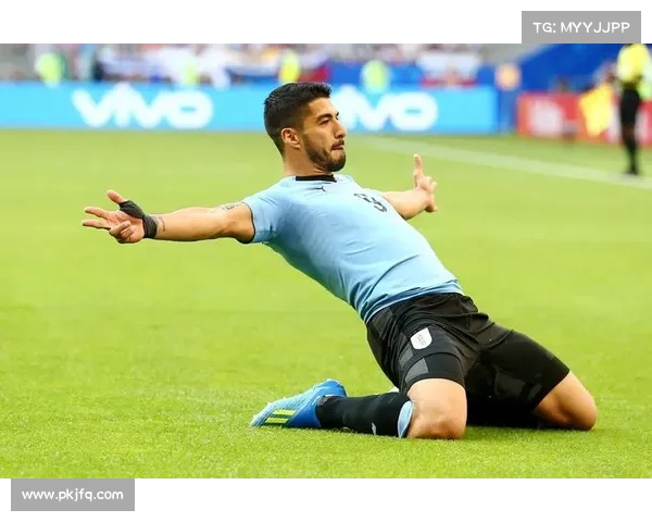 乌拉圭世预赛南美区老将逐步淡出 苏亚雷斯卡瓦尼告别国家队时代